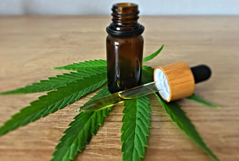 cbd oil