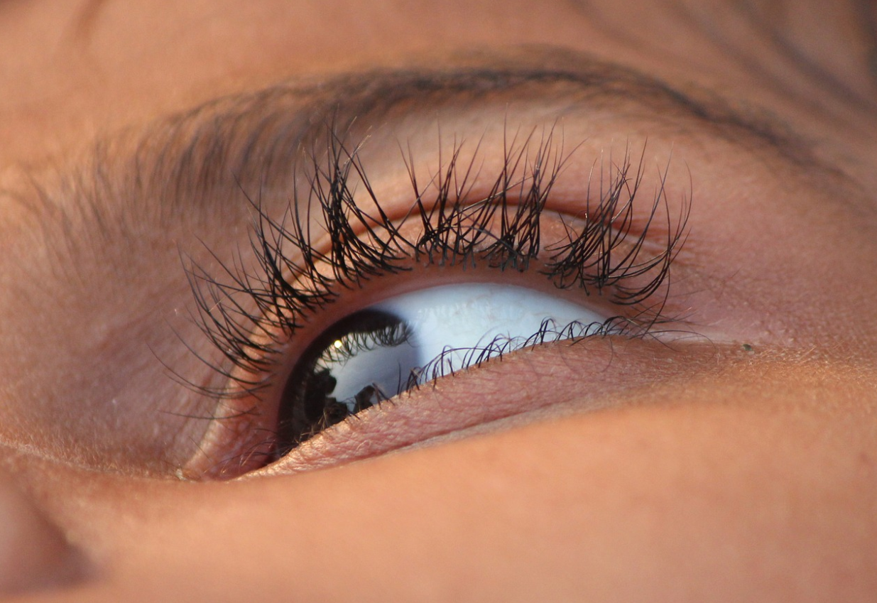 eye cornea