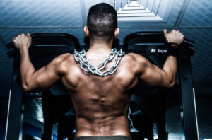 Muscle Building